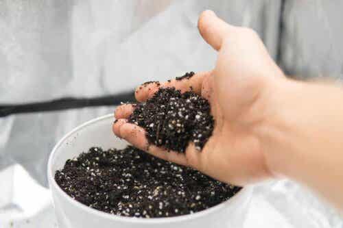 Perliitin käyttötarkoitukset puutarhassa ovat monet.