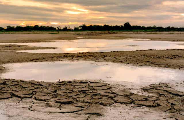 Ilmastonmuutos aiheuttaa kuivuutta tietyillä seuduilla.