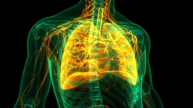 Antibioottien liikakäyttö johtaa mikro-organismien vastustuskykyyn