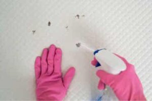 Vuodevaatteiden ja patjan puhdistus: 8 myyttiä