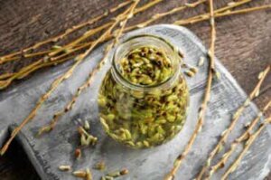 Gemmoterapian hyödyt ja sovellukset