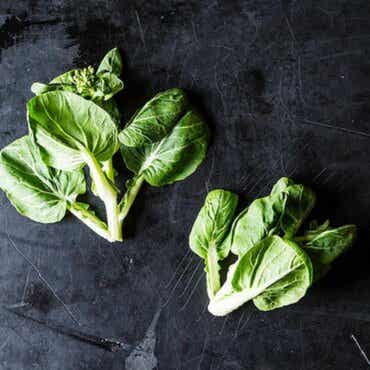 Tatsoi-salaattikasvi: alkuperä, ravintoaineet ja resepti