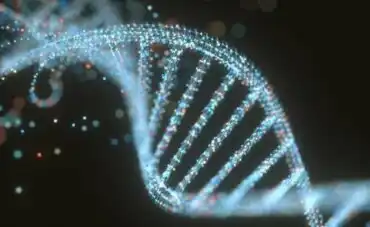 Mitä eroa on DNA:n ja RNA:n välillä?