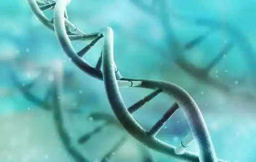 DNA:n ja RNA:n väliset erot.