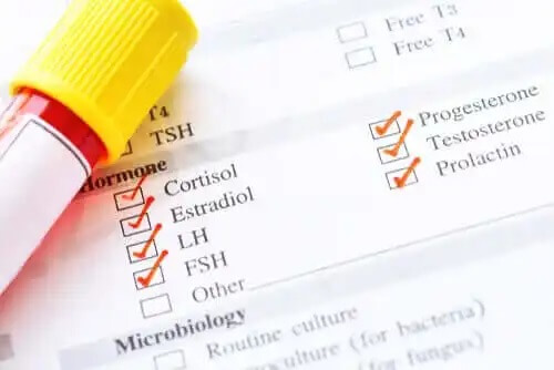 Hormonidieetti auttaa painonpudotuksessa hormonien "resetoimisen" ansiosta.