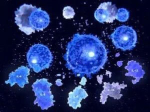 Sytokiinien biologiset ominaisuudet