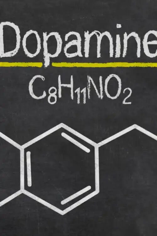 Azilect nostaa dopamiinitasoa aivoissa.