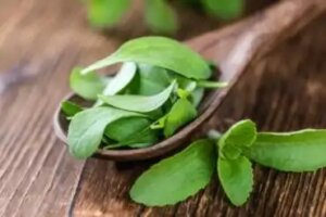 Nestemäinen stevia: ravintoaineet ja valmistusohje