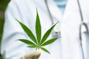 Miten kannabiksen käyttö vaikuttaa MS-taudin oireisiin?