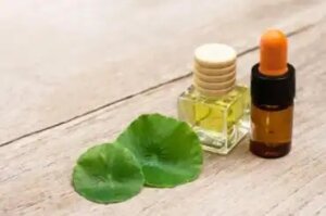 Rohtosammakonputken hyödyt iholle