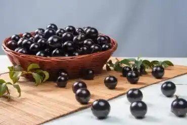 Jabuticaba-hedelmä: hyödyt ja sen nauttiminen