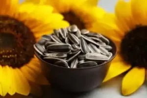 Voiko auringonkukan siementen kuoria syödä?