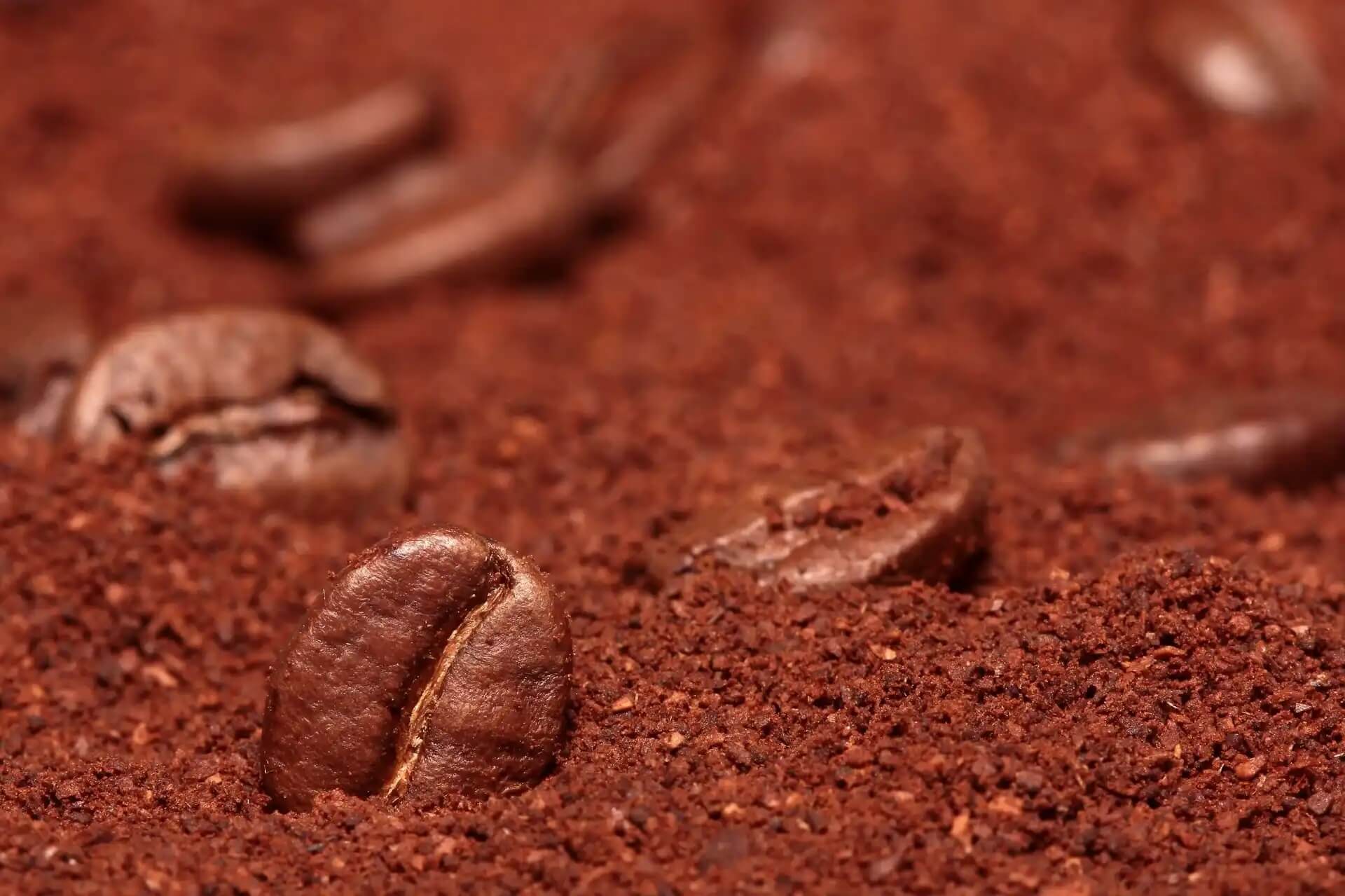 Kolapähkinässä on kahvin tavoin kofeiinia.