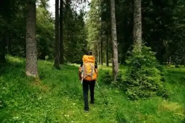 Shinrin yoku eli metsäkylpy: mitkä ovat sen hyödyt?