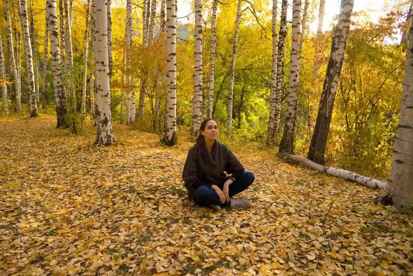 Metsäkylpy vähentää stressiä ja vaikuttaa suotuisasti terveyteen.