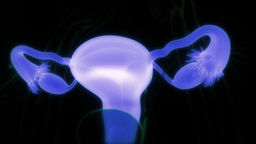 Munasarjan dermoidikysta: oireet ja milloin mennä lääkäriin