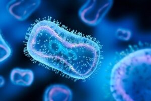 13 ihmiselle vaarallista virusta