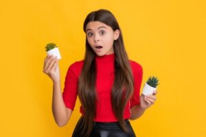 Ovatko kaktukset ja mehikasvit sama asia?