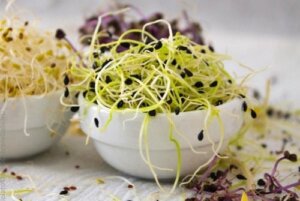 Kuinka kasvattaa ituja kotona