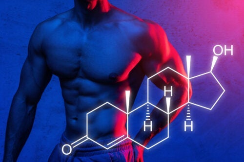Proteiinisynteesi: näin voit maksimoida lihasmassasi