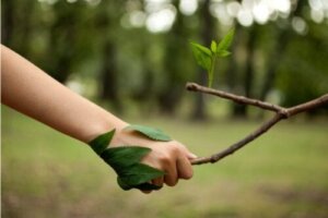 14 parasta lainausta luonnonystäville