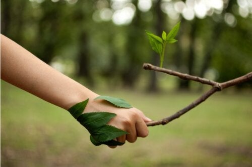 14 parasta lainausta luonnonystäville