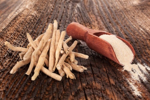 Ashwagandhan hyödyt ja vasta-aiheet