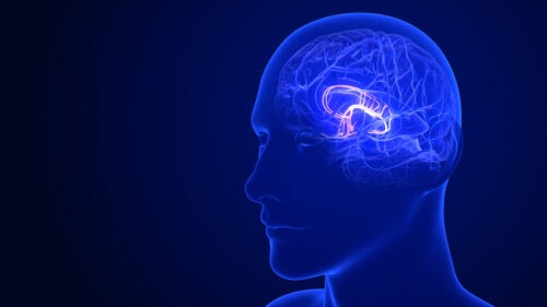 6 tapaa stimuloida hypotalamuksen toimintaa