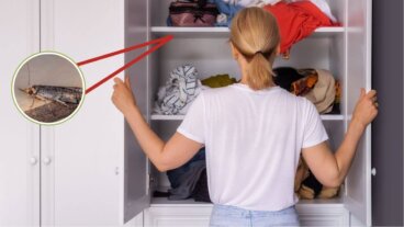 5 konstia päästä eroon koista puuhuonekaluissa