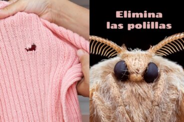 8 tapaa päästä eroon vaatekoista