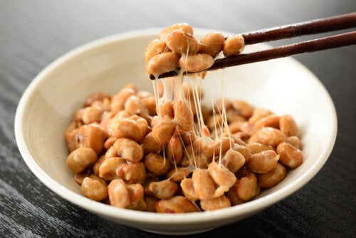 Natto, japanilainen ruoka, joka sisältää probiootteja