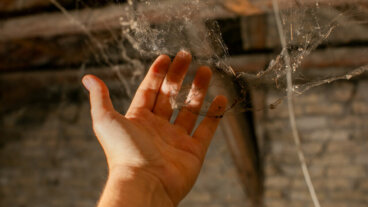 8 yksinkertaista temppua hämähäkinseittien poistamiseksi kodistasi