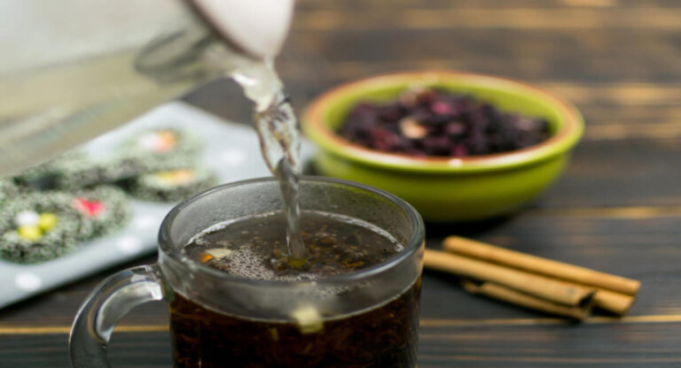 Jasonia glutinosa: lääketieteelliset ominaisuudet ja vasta-aiheet