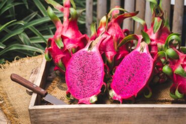 Kuinka kasvattaa pitaija-hedelmiä kotona